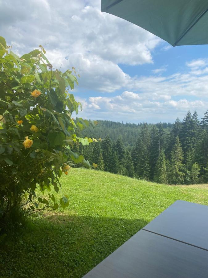Apartament w górach Gorce Nowy Targ Zewnętrze zdjęcie