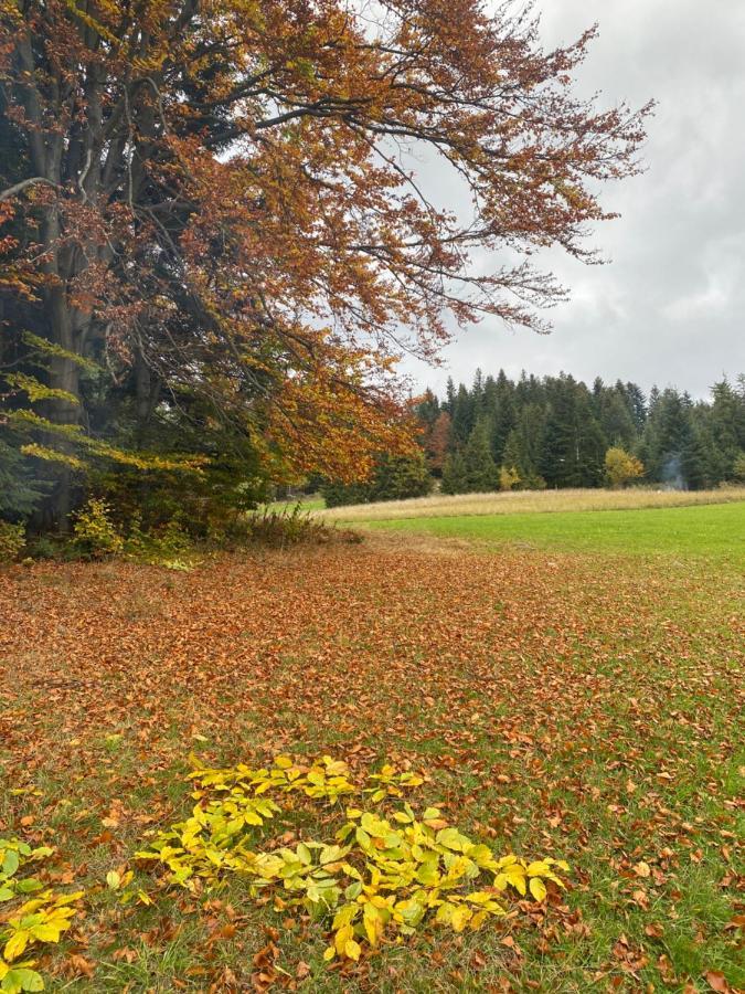 Apartament w górach Gorce Nowy Targ Zewnętrze zdjęcie